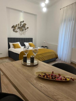 Aris Central&Cozy Studios Iasi